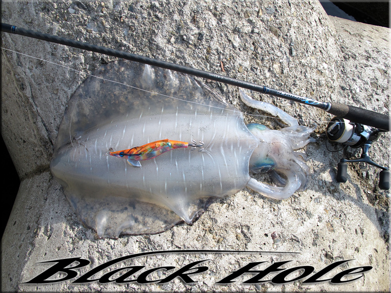 דייג קלאמרי